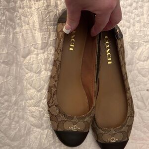 Coach Signature Canvas Ballet Flats in Brown with Black Toe